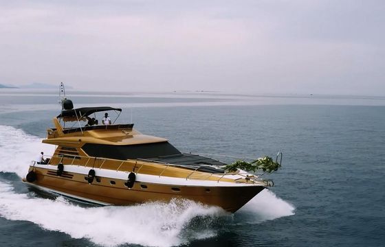 PRINCESS 66