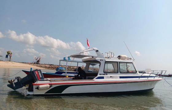 Sail Fish